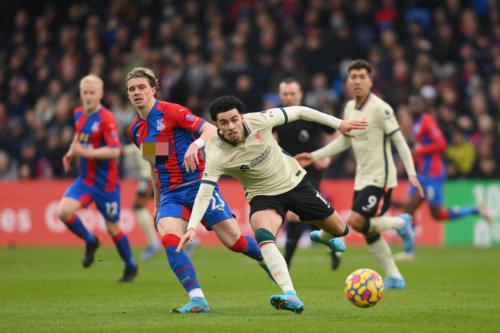 主场作战 主场作战